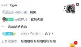 寂然爆料最新,揭秘娱乐圈最新幕后故事